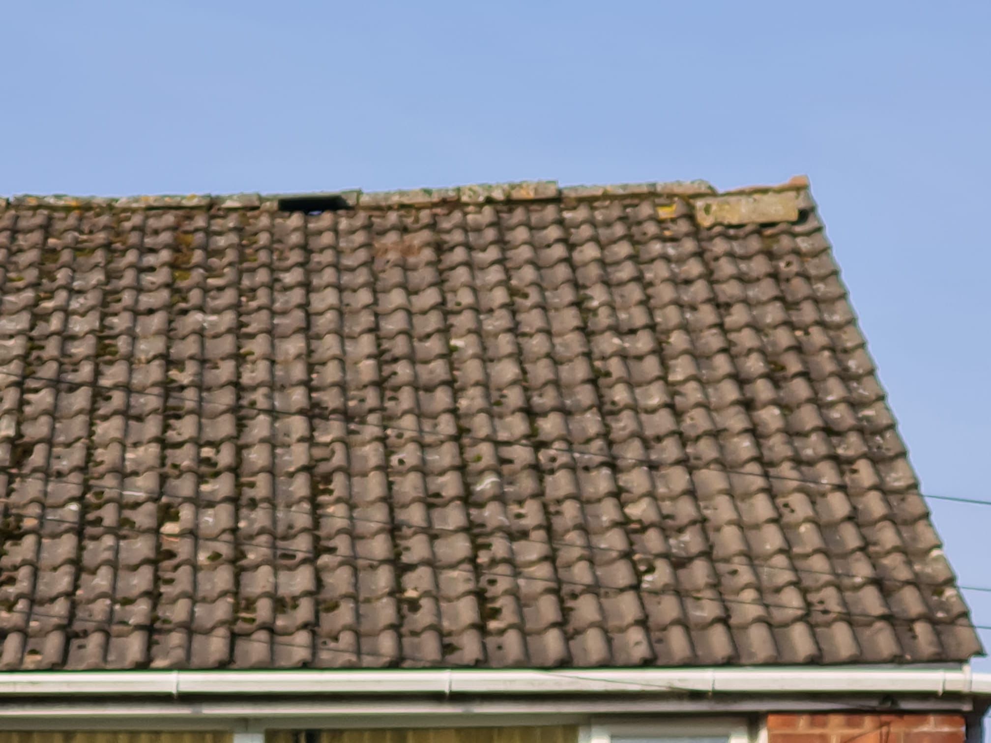 Roof Tile Inspection