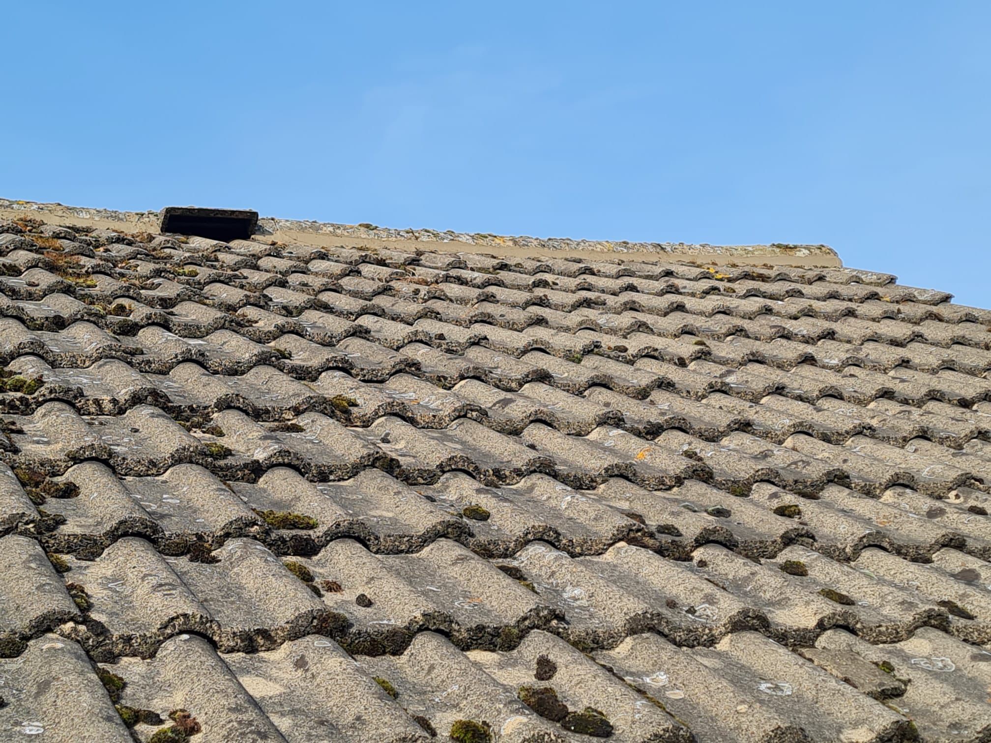 Moss-Covered Roof Tiles