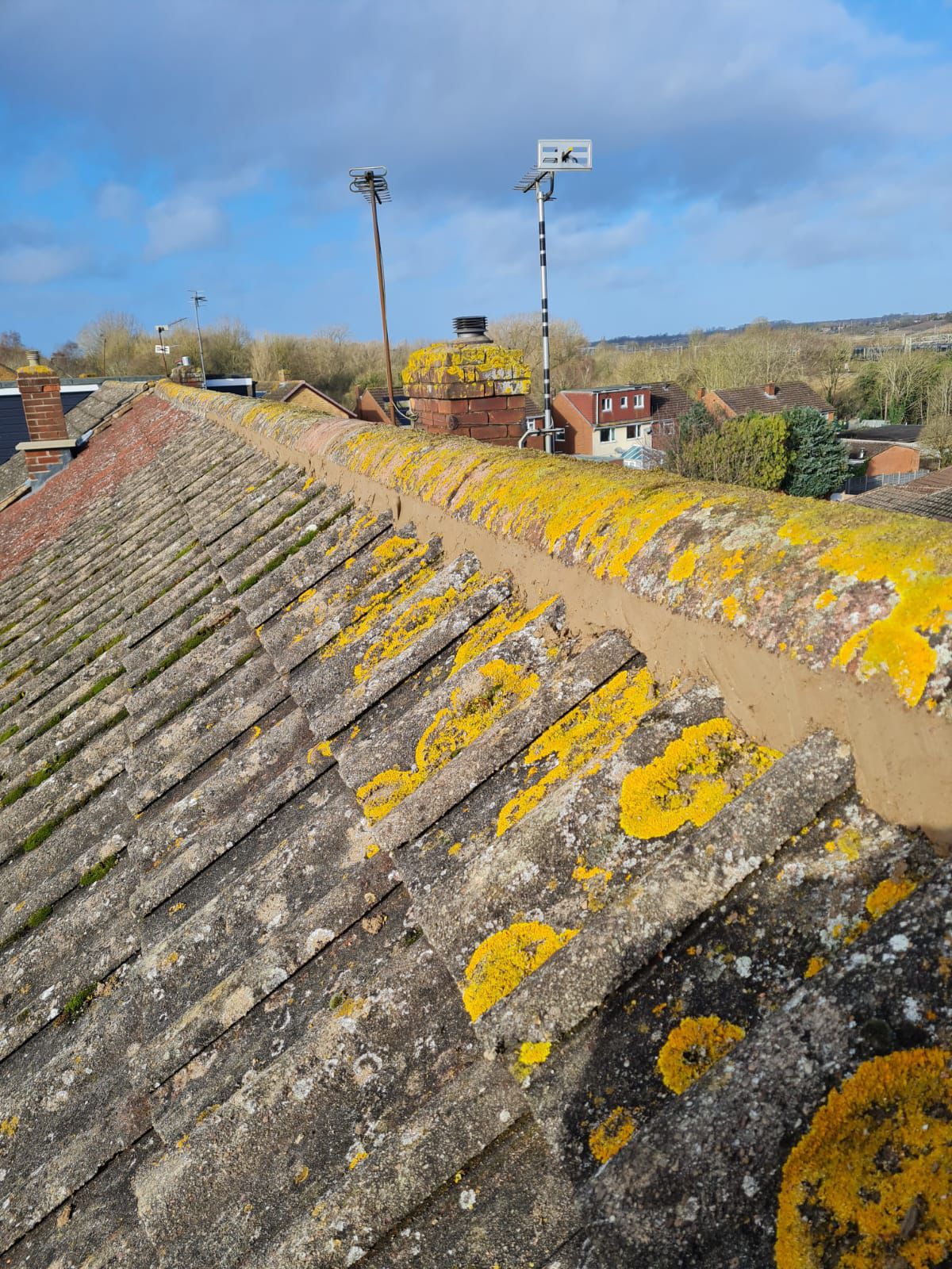 Ridge tiles repointed and moss removed on a tiled UK roof