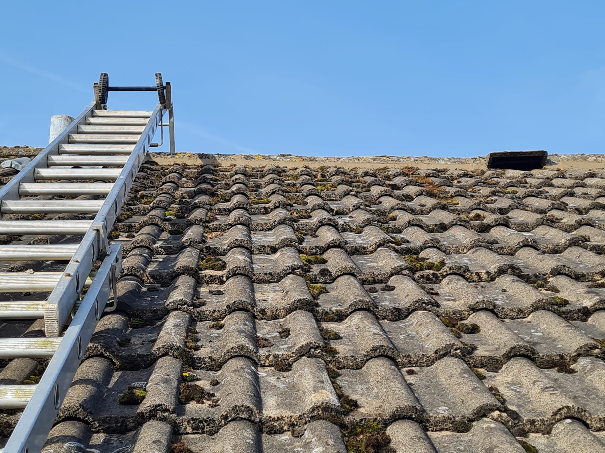Roof tile cleaning and repairs underway with access ladder